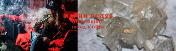 тгк Алзамай