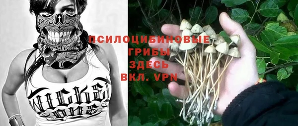 твердый Алексеевка